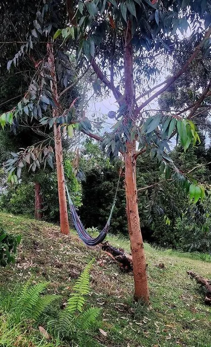 Green Mount Medellín 0*,  Colômbia